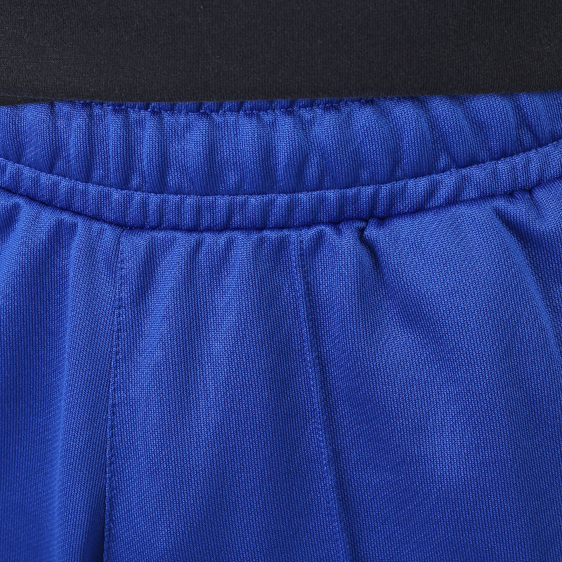 мужские синие брюки PUMA Rhuigi Track Pant 53257702 - цена, описание, фото 2